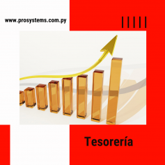 sistema-de-tesoreria-empresas